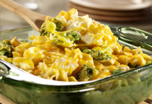 Baked Turkey & Noodles in Sour Cream Sauce
