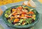 Grilled Chicken & Orange Salad