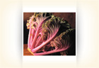 Garlicky Wilted Greens