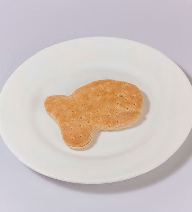 GOLDFISH® BREAD – WHOLE WHEAT
GOLDFISH® BREAD – WHOLE WHEAT