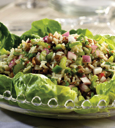 LENTIL RICE SALAD LENTIL RICE SALAD