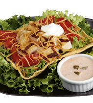 CHICKEN FAJITA SALAD CHICKEN FAJITA SALAD