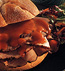 TANGY SANDWICHES TANGY SANDWICHES